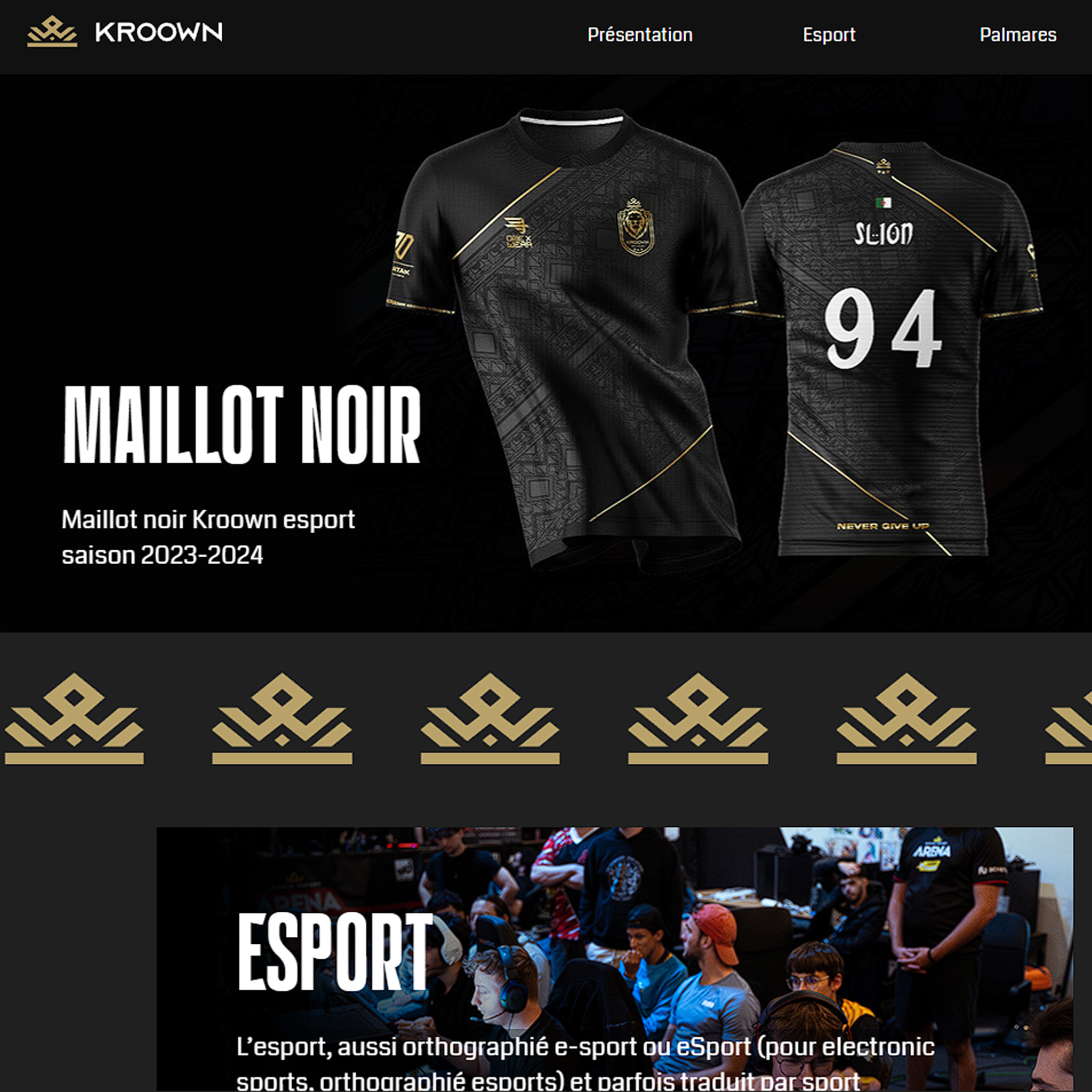 Site web réalisé par dyskop